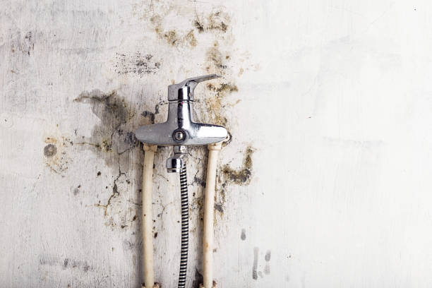 Best HVAC Mold Remediation in Waterbury, CT